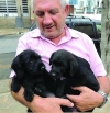 Vereador Ubiratan Figueiredo quer acabar  com venda de animais em pet shop