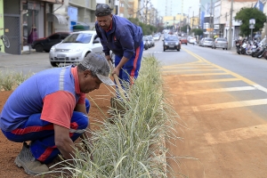 S&atilde;o Caetano aplica novo conceito paisag&iacute;stico na Visconde de Inha&uacute;ma
