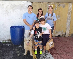 Miaudote conta com 70 animais para ado&ccedil;&atilde;o