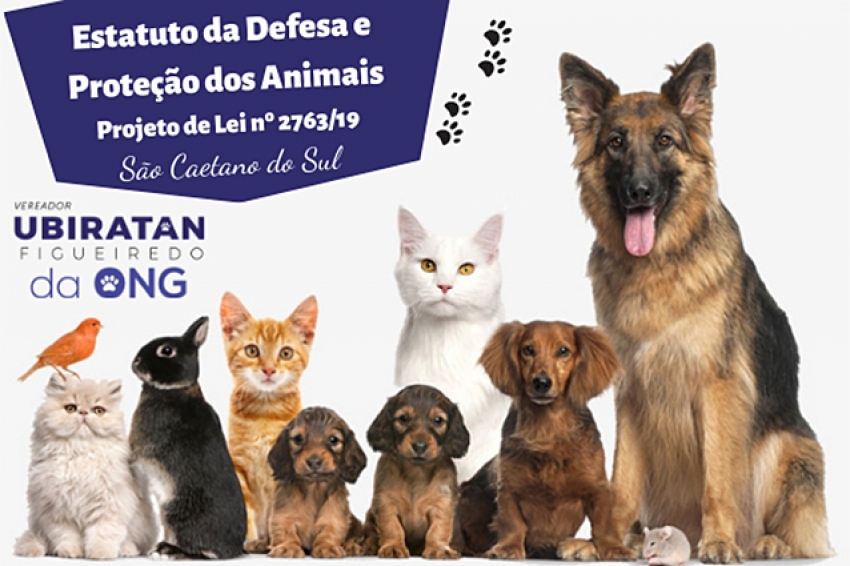 Defesa e proteção dos animais