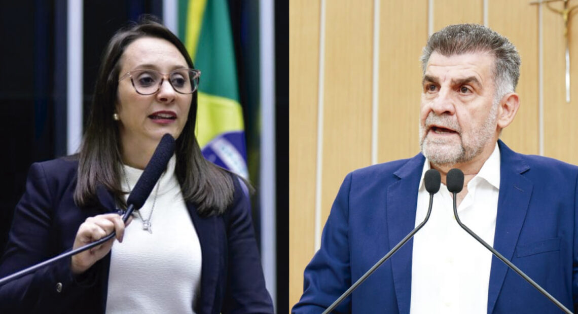 Parra propõe implementação de lei de educação política e destaca iniciativa de Renata Abreu